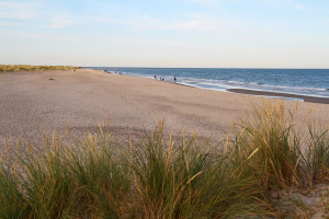 Grenen