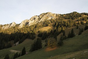 Dent du Chamois