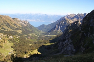 le vallon de Novel