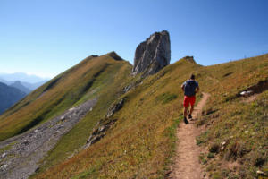 Dent du Vélan et l'arête
