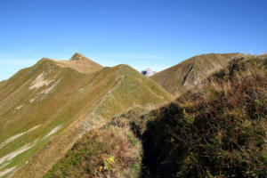 presque toute l'arête