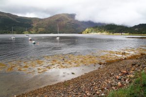 Glencoe