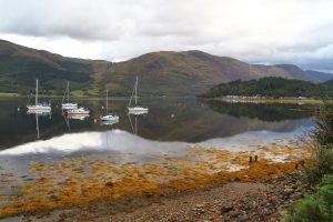 Glencoe
