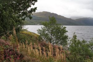 au bord du loch Lomond