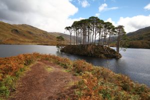 Eilean na Mòine sur le loch Eilt