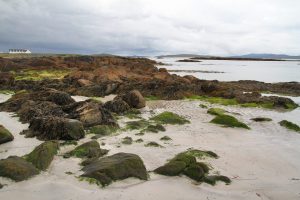 Pollachara Beach