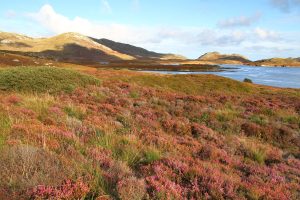 Loch Eynort