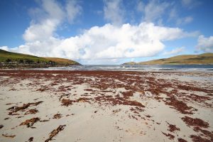 Vatersay : Traigh Shiar