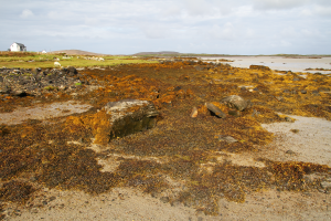 île de Vallay au fond
