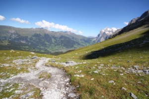 au fond : Grindelwald et le Wetterhorn