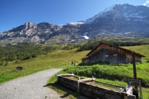 à Alpiglen
