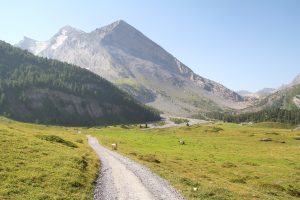 plateau alpin de Spittelmatte