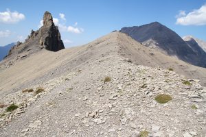 sur l'Entschligegrat avec le Tschingellochtighore