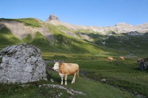 vue sur l'Entschligegrat depuis Entschligenalp