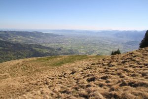 depuis le presque sommet du Fähnerenspitz (vue sur la plaine du Rhin)