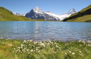 Bachalpsee et Wetterthorn