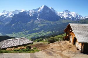 Eiger & Co