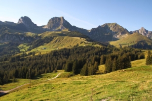 au centre le Gantrisch