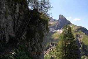 Gältetrittli