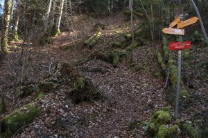 début du chemin rouge (un des rares dans le Jura !)