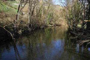 près d'Orbe
