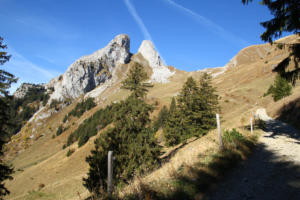 Les Jumelles