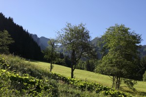 Gros Brun (à gauche)