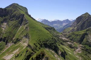 le Gros Brun et l'arête