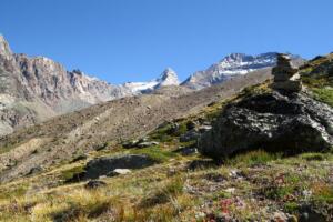 Höhenweg Almagelleralp 07-08-2020 (20)a