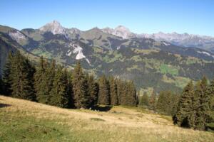 vue sur la Gummfluh depuis le sommet du téléphérique