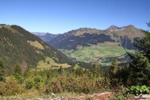 la vallée de Lauenen