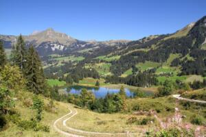Lauenensee