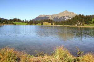 Lauenensee