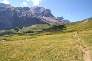 en direction du Tungelpass