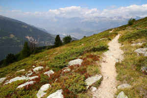 sur le flanc de l'Illhorn