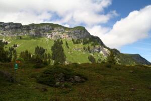Isenfluh-Mürren 04-07-2020 (88)a