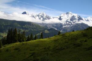 depuis Marchegg