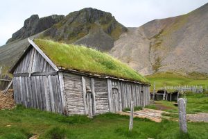 village Viking