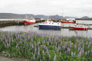 port de Breiðdalsvík