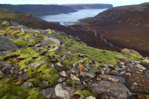 le Geirþjófsfjörður au fond