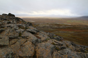 Borgavirki     