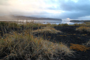 Dyrhólaey et la plage de Reynisfjara