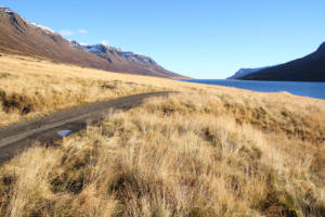 le long du Mjóifjörður