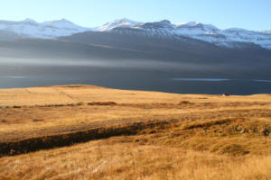 le long du Reyðarfjörður