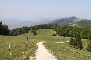 en direction de Weissenstein