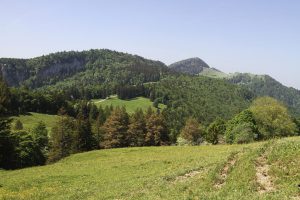 au fond : le Haselmatt