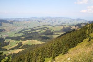 vue depuis le Kronberg (en direction du Nord)