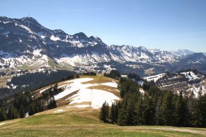 vue depuis le sommet du Kronberg