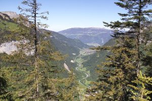 La Lütschine qui coule vers le lac de Brienz