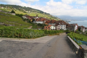 Rivaz